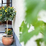 Komfort Roemersberger - 6 *